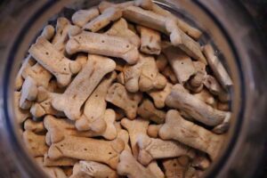 犬のおやつの選び方で気を付けるべきポイントは？