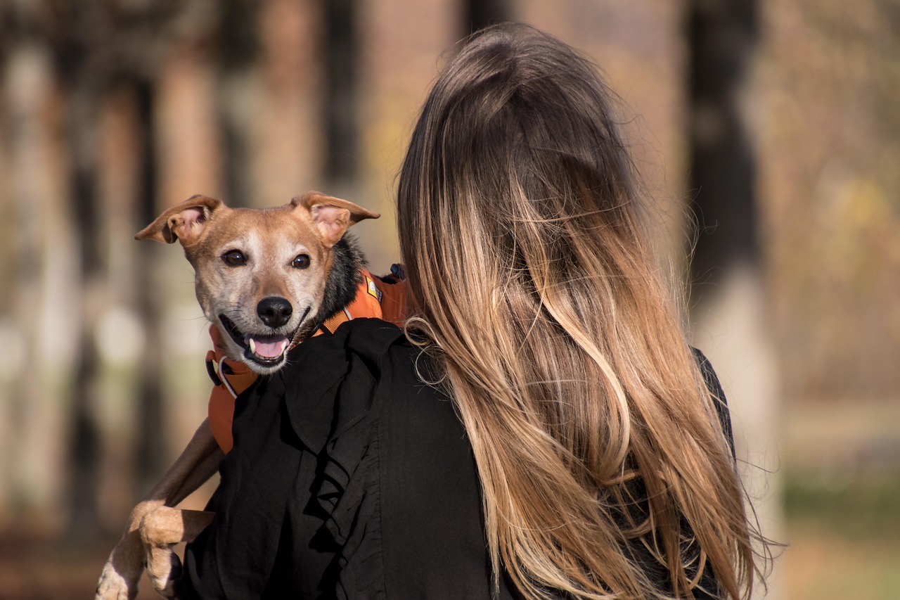 犬のしつけで叩くことは本当に必要なのか？