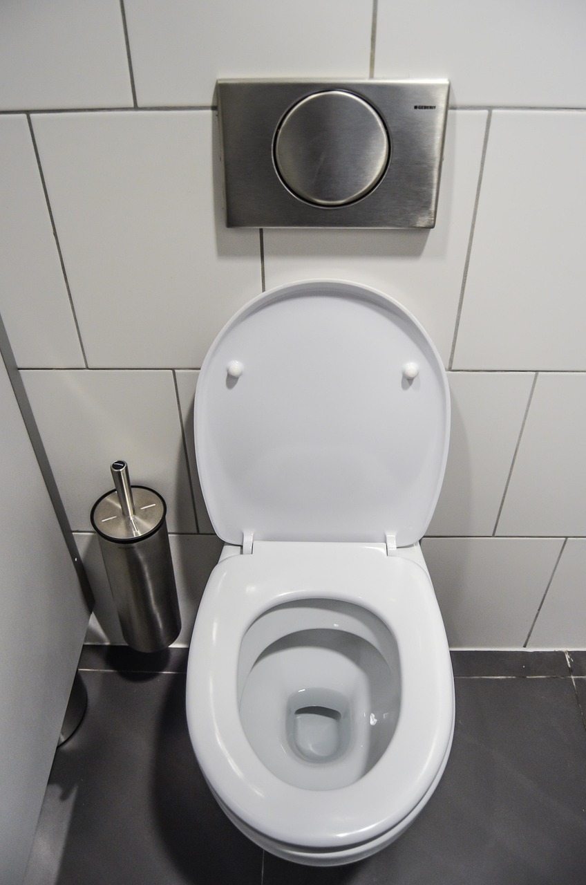 成犬のトイレしつけの直し方は？