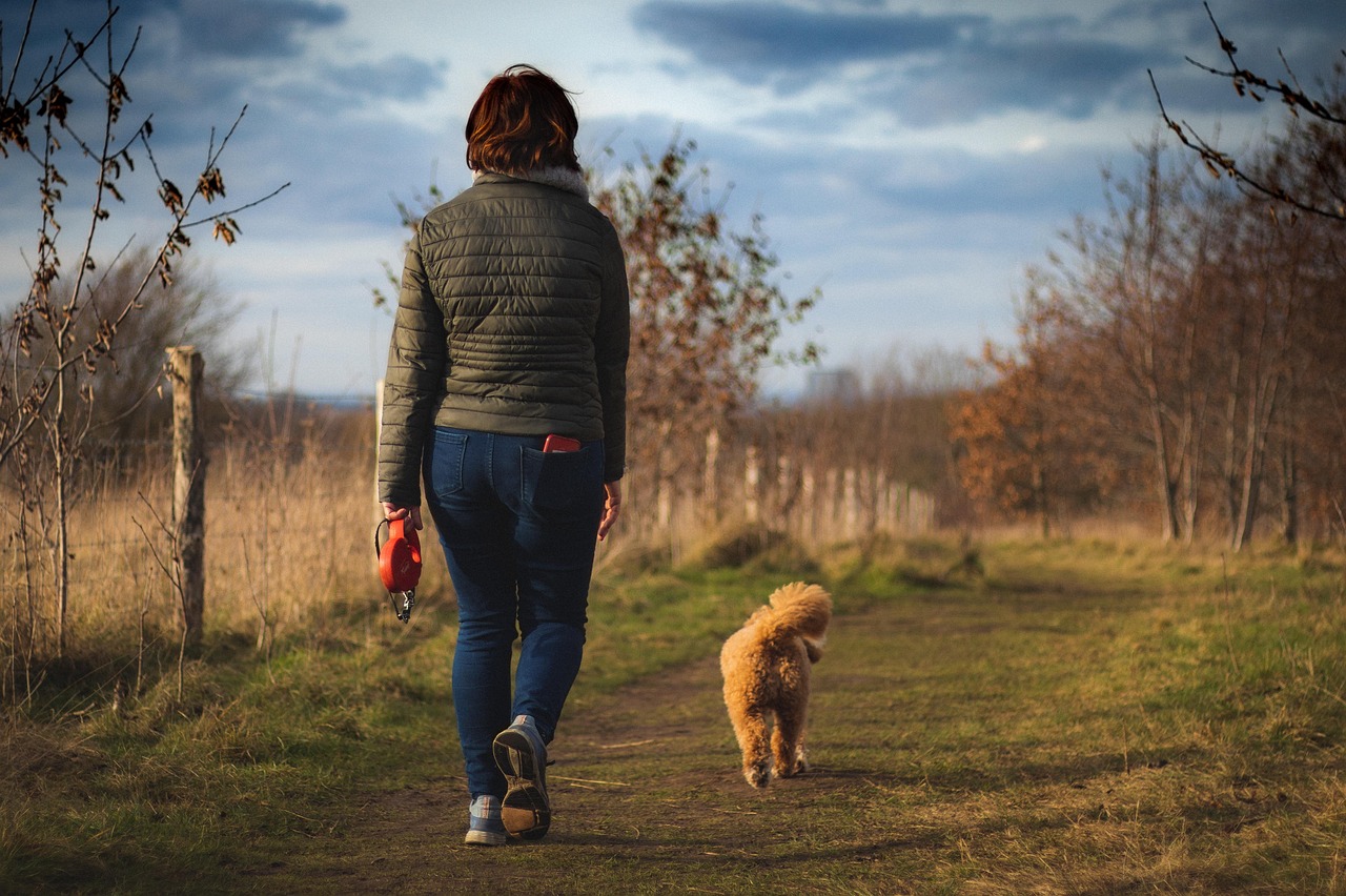 犬が散歩を嫌がる時の効果的な対処法は？