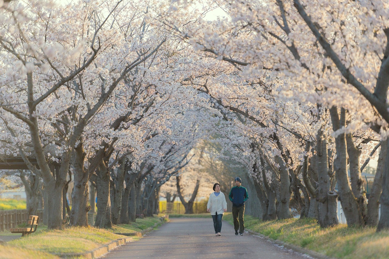 犬が散歩を行かない理由とその拒否の対処法は？