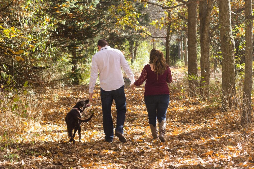 犬が散歩中に引っ張る場合の効果的なしつけ方法は？