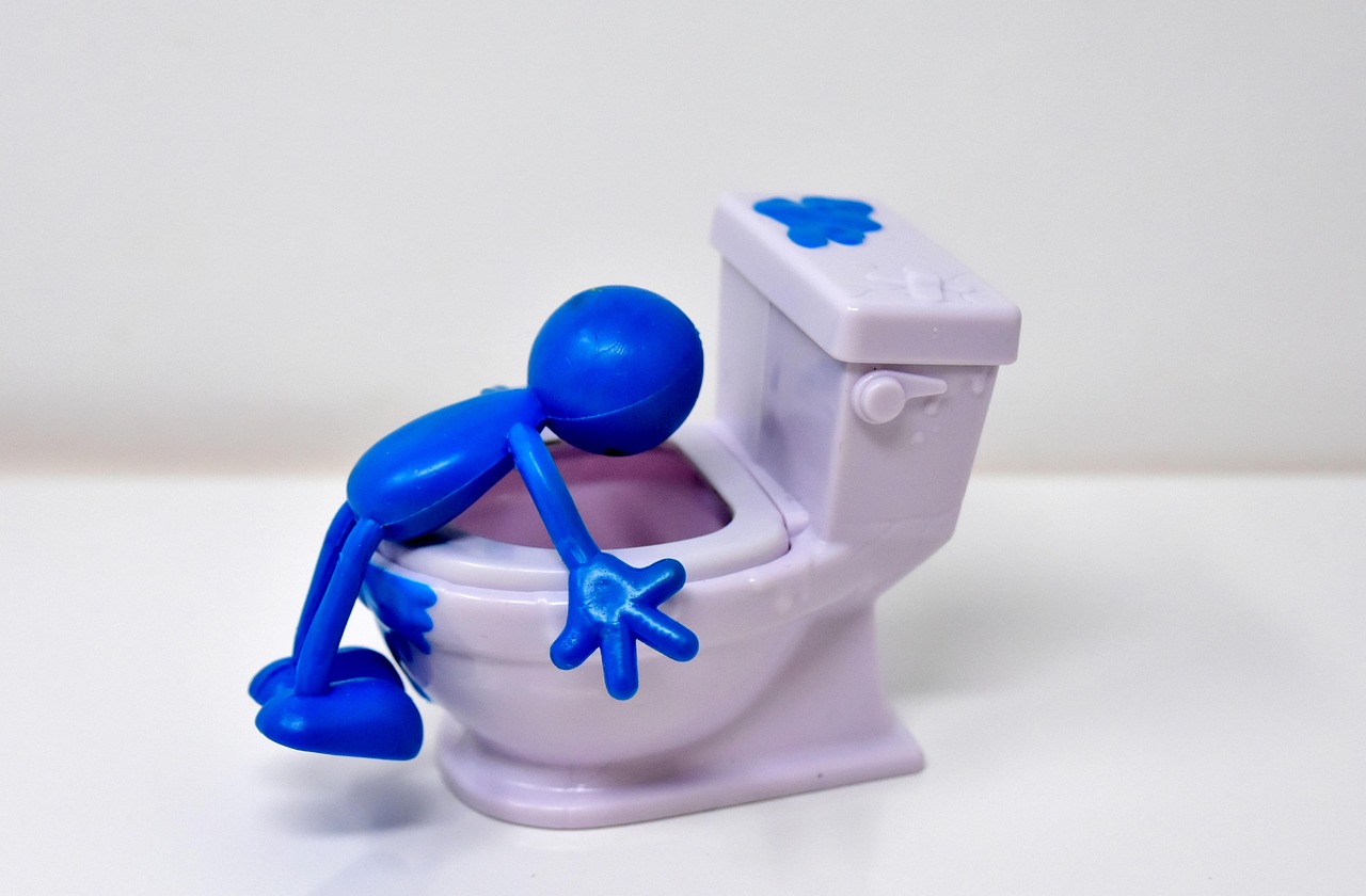 トイレシートを噛む理由とその対策は？