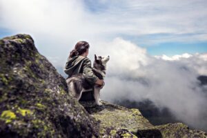 犬が外でトイレを覚えさせる方法は？