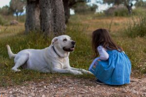 犬が子供を噛む問題を直すための効果的な方法は？