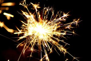 犬が花火に吠える時の直し方は？