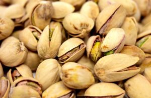 犬が食べ物を欲しがるのを直す方法は？