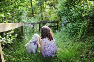 子犬が子供に触られると嫌がる理由とは？