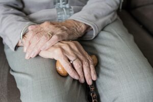 子犬がおてをしない場合の対処法は？