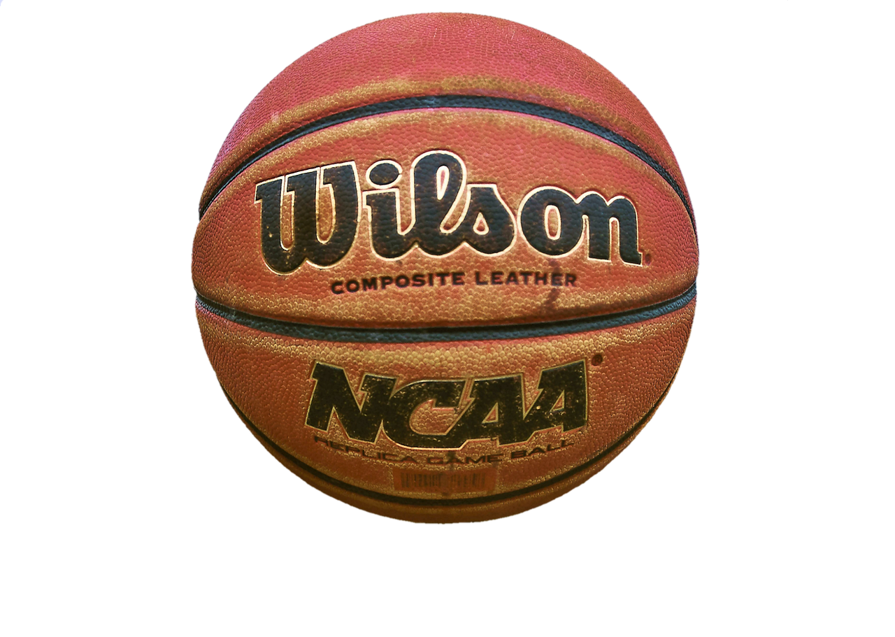 子犬がボールを投げても戻らない理由と対策は？