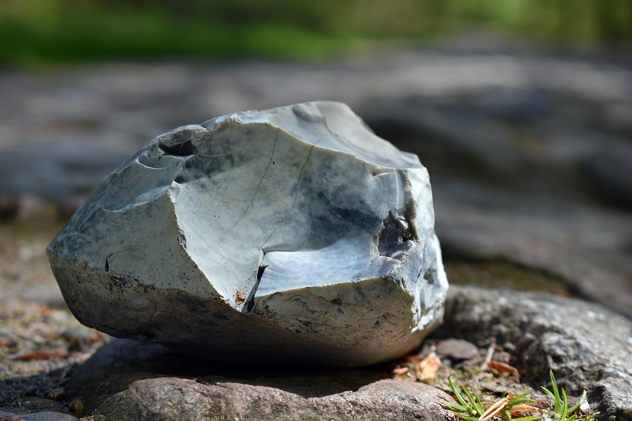 子犬が飛びつくのを防ぐためのしつけ方法は？