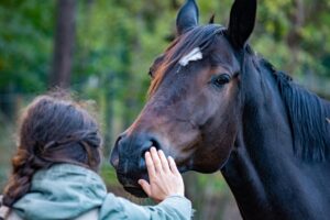 子犬にお手を教える方法は？
