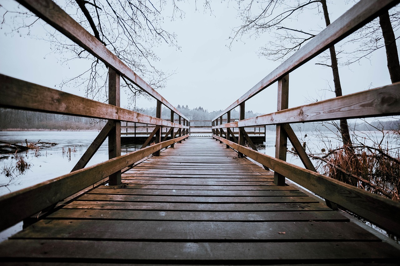 子犬が夜間に病院に行くべき症状とは？