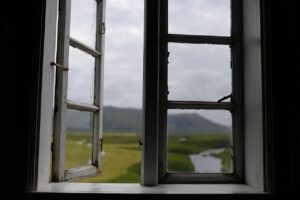 子犬が窓越しに吠える理由とは何ですか？