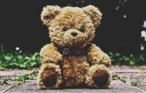 子犬のしつけに役立つ人気のおもちゃは？
