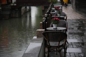 子犬の散歩は雨の日にどうするべきか？