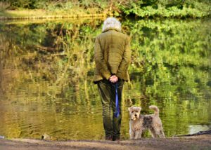 子犬を電車に連れて行く際の注意点は？