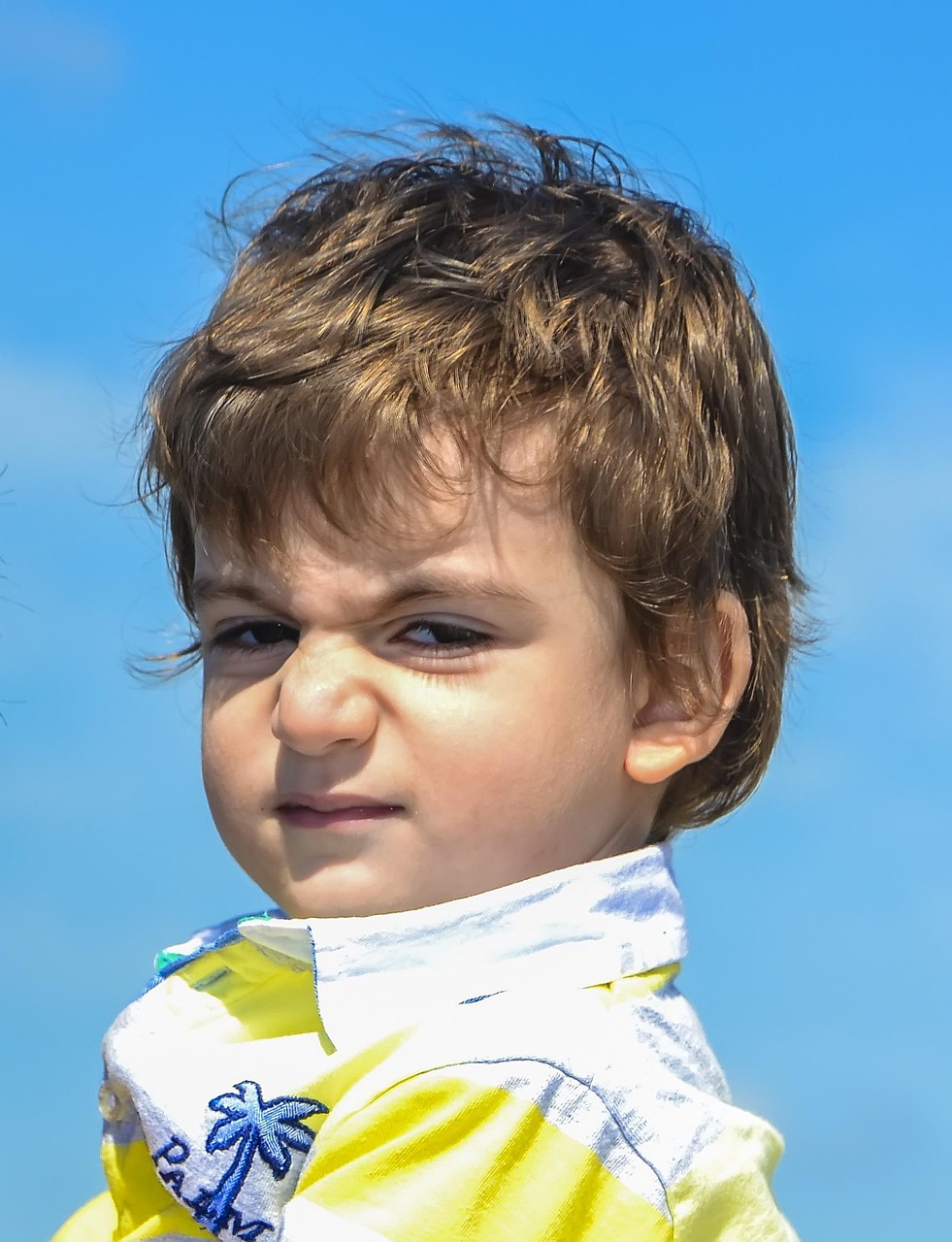 犬に怒ってしまう理由とその対処法は？