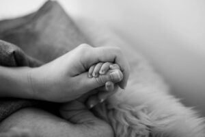 犬と家族のしつけにおける違いとは？