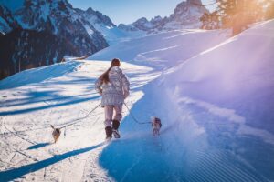犬の散歩中に吠えるのがしんどい時の対処法は？